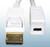 Mini Displayport Female to Displayport Male 1 Meter