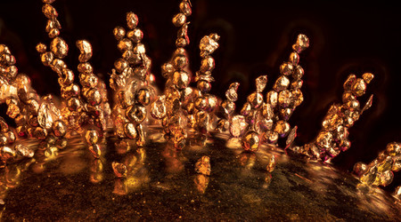 NOVOFLEX: Macro Challenge #5 Magnetism