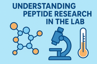 Understanding Peptide Research in the Lab