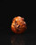 Elemental Baby Dragon & Egg