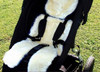 Adjustable Short Wool Stroller Fleece Liner