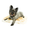 Pet Snuggle Sheepskin Rug