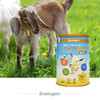 Goatnutri MAX+ Goat Milk Powder 400g with Manuka Honey, Probiotics, Lutein