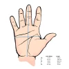 SALE! Polyprop / Possum Full Finger Gloves