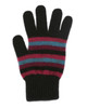 Possum Merino Multi Stripe Glove