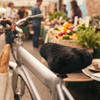Sheepskin Bike Seat Cover