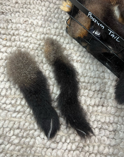 Real Possum Tail, natural toy for pets, unique souvenir and eco-friendly craft material.