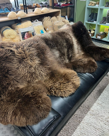 Genuine sheepskin rugs in natural dark colors that range from light brown to almost black, skillfully sewn together to form one octo or 8-piece rug.