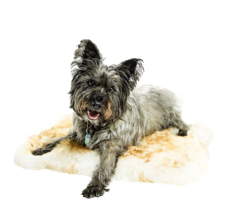 Pet Snuggle Sheepskin Rug - The Sheepskin Factory