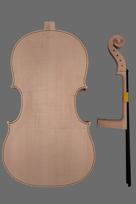 White Cello 4/4 with Separate Neck | Montagnana Model