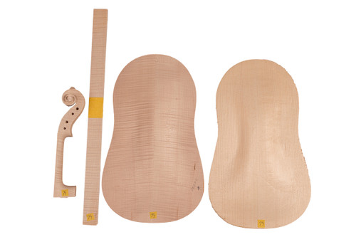 Violin Kit #14