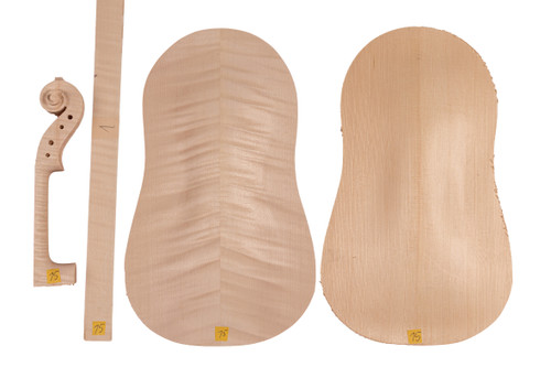 Violin Kit #15