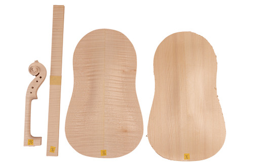 Violin Kit #16