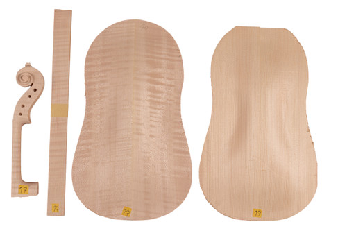 Violin Kit #17