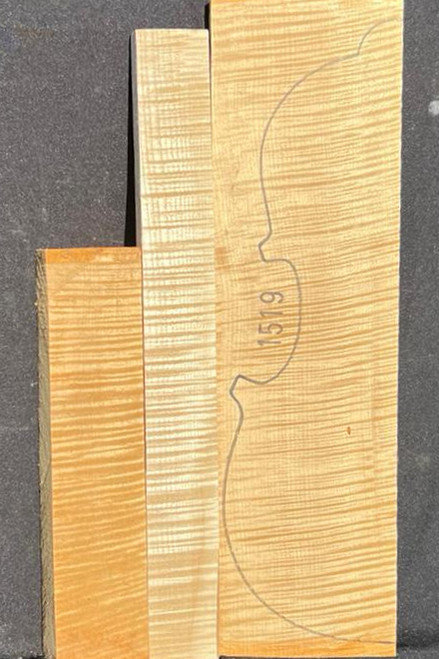 Viola Set 1519