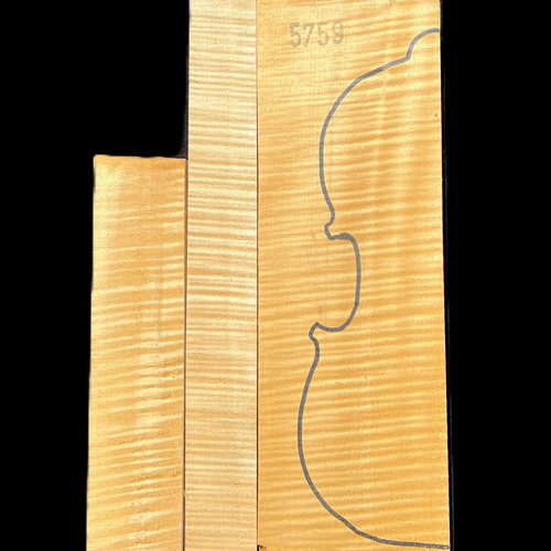 Violin Set 5759
