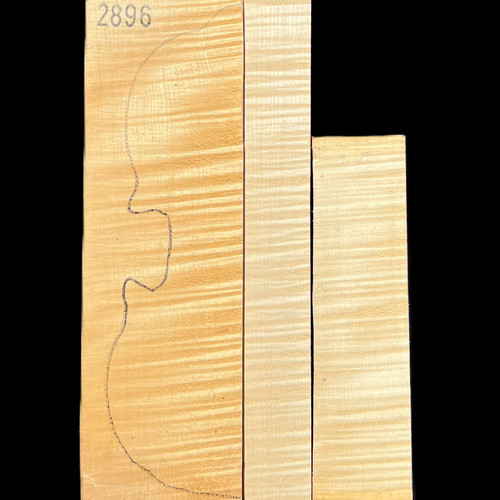 Violin Set 2896