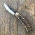 Baribal le sabot