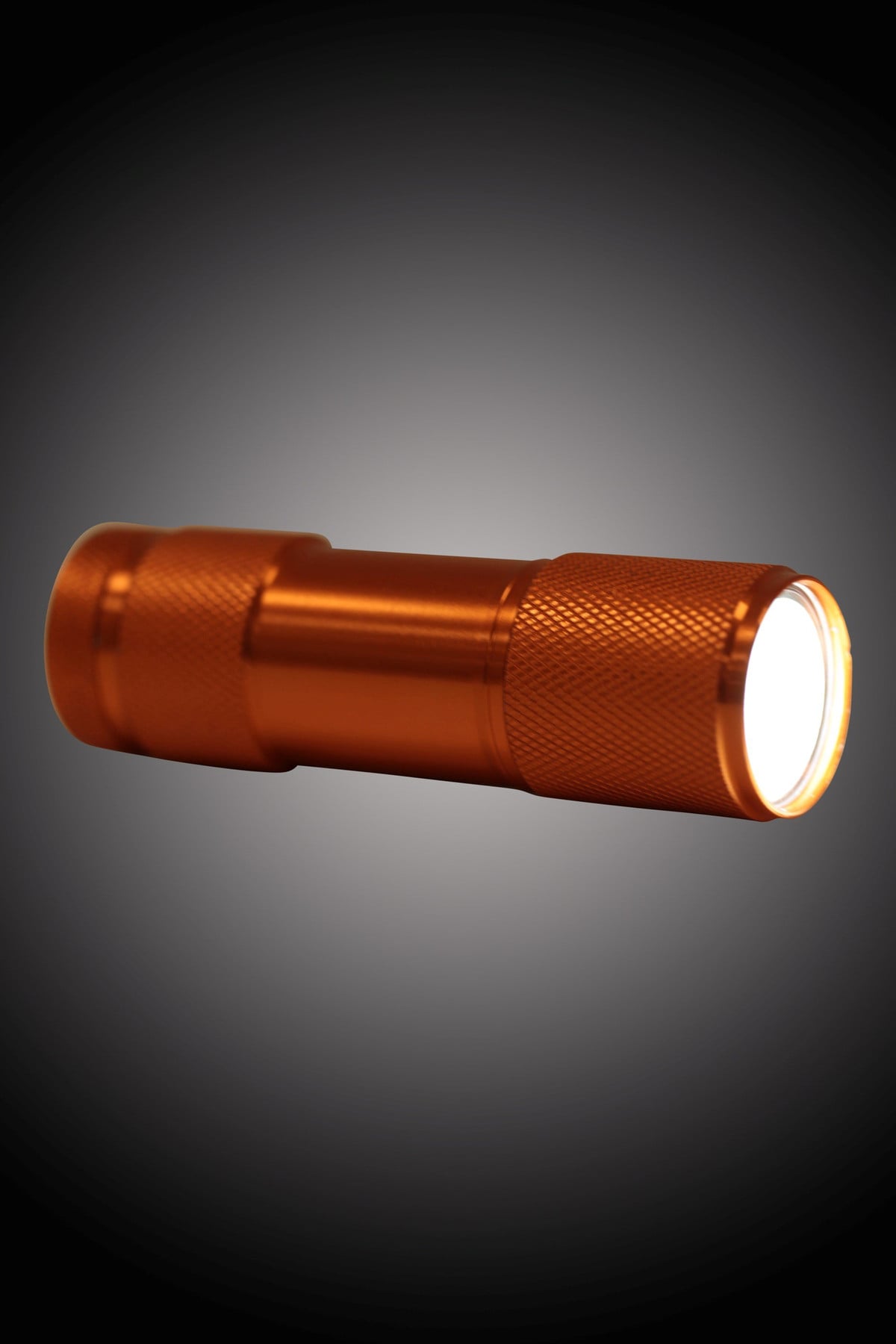 Fun 9 LED Flashlight