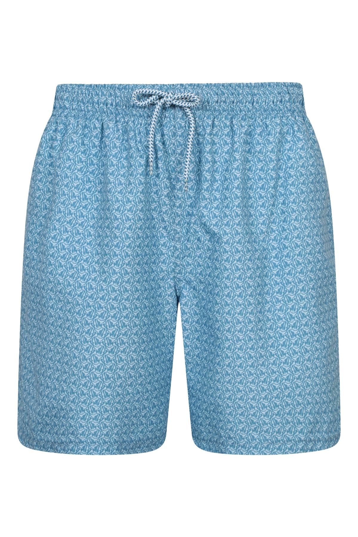 Aruba Printed Mens Swim Shorts