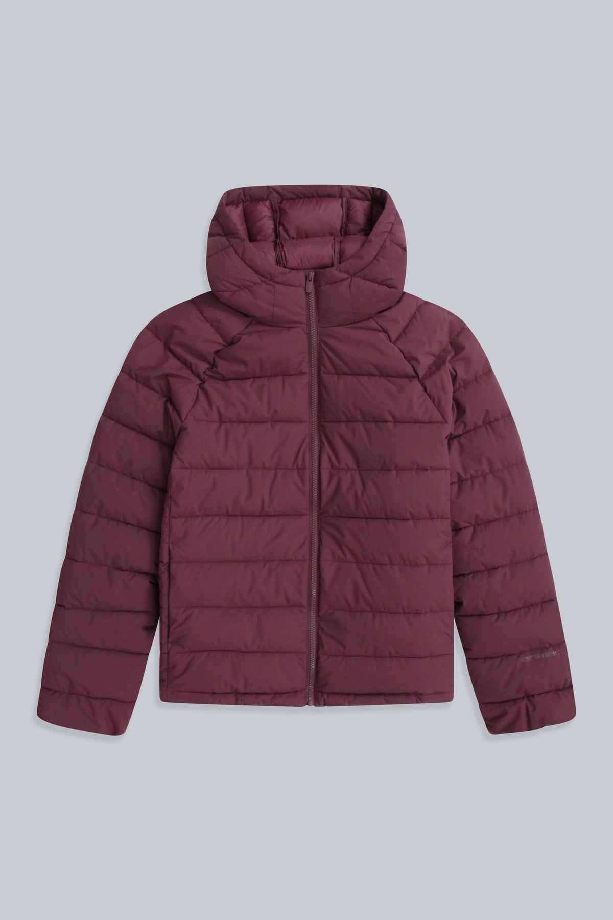 Light Cloud Cosi Hooded Womens Padded Jacket
