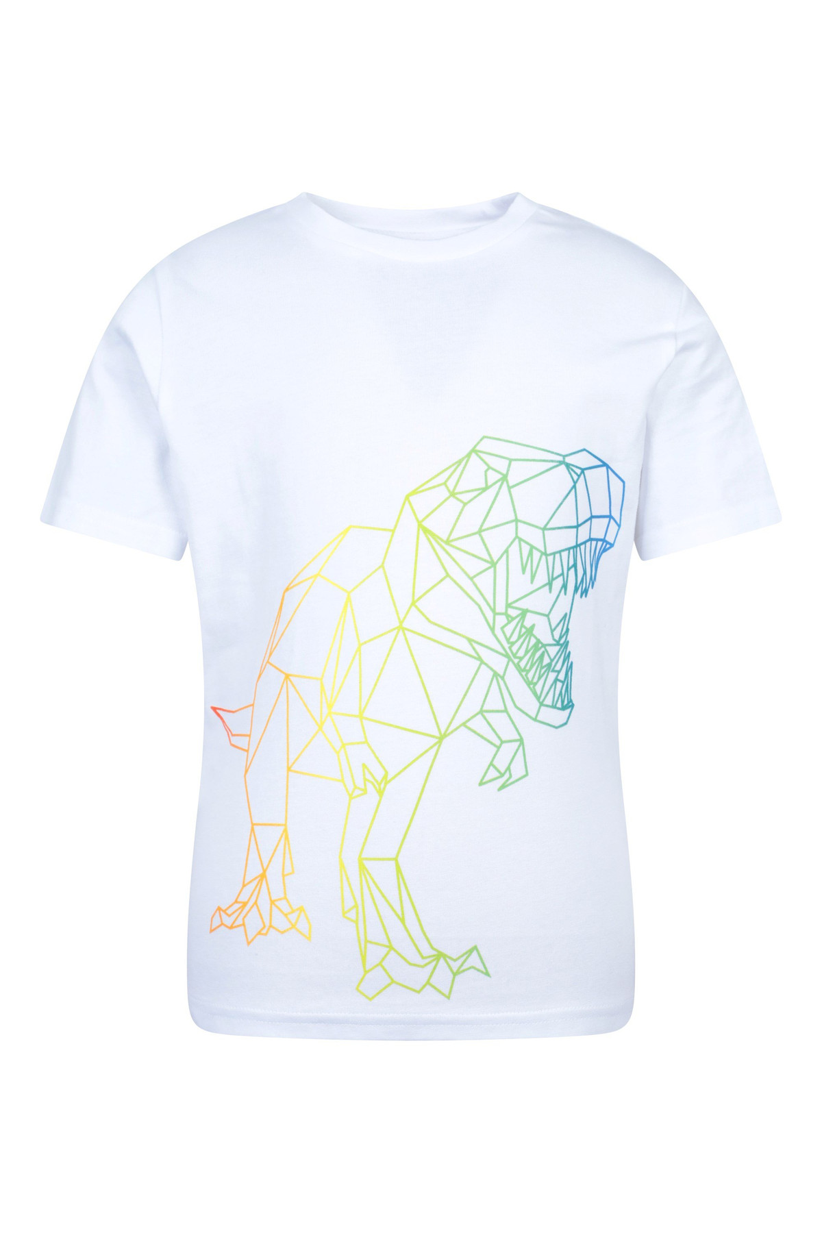Ombre Geo Dino Kids Tee
