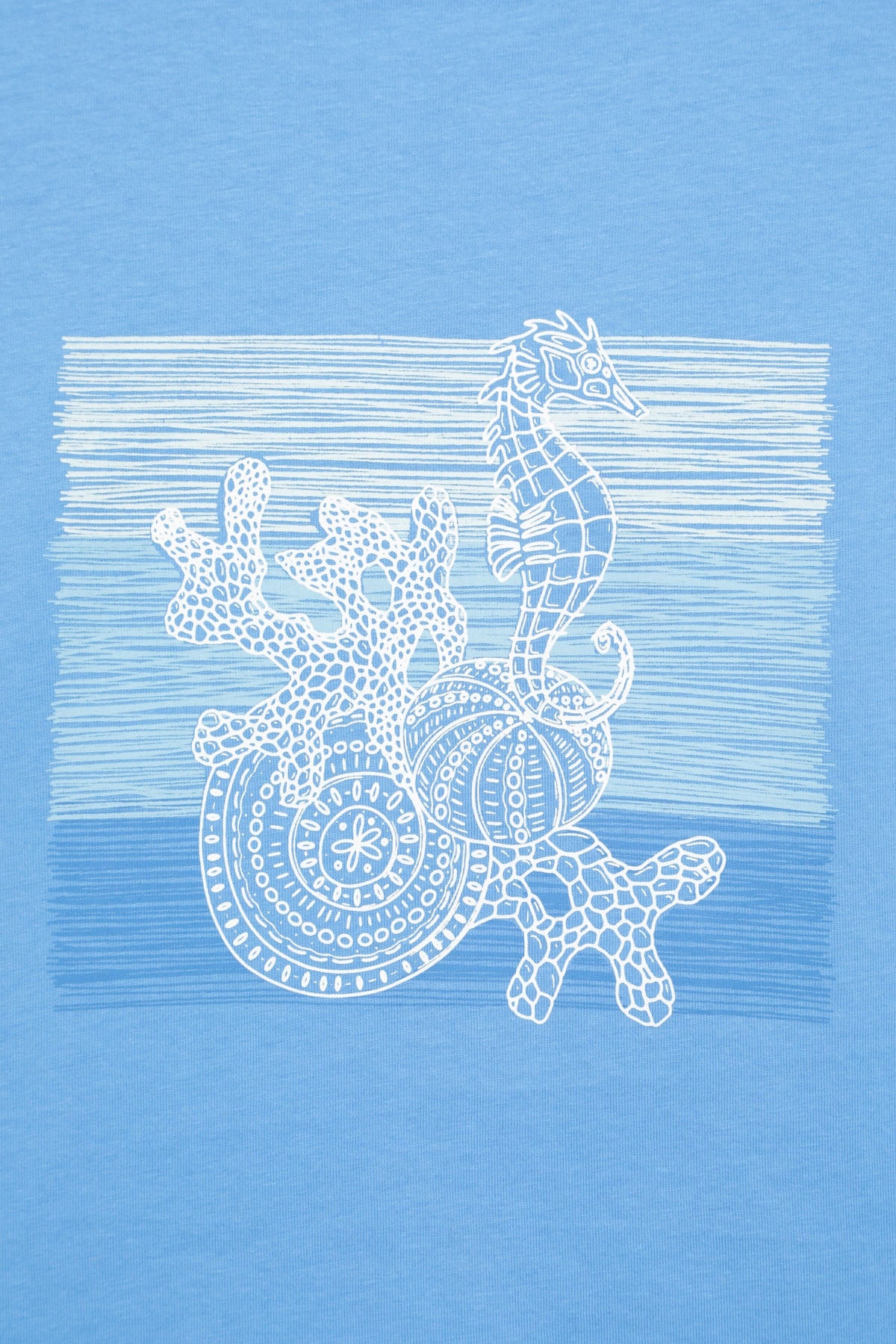 Seahorse Womens T-Shirt