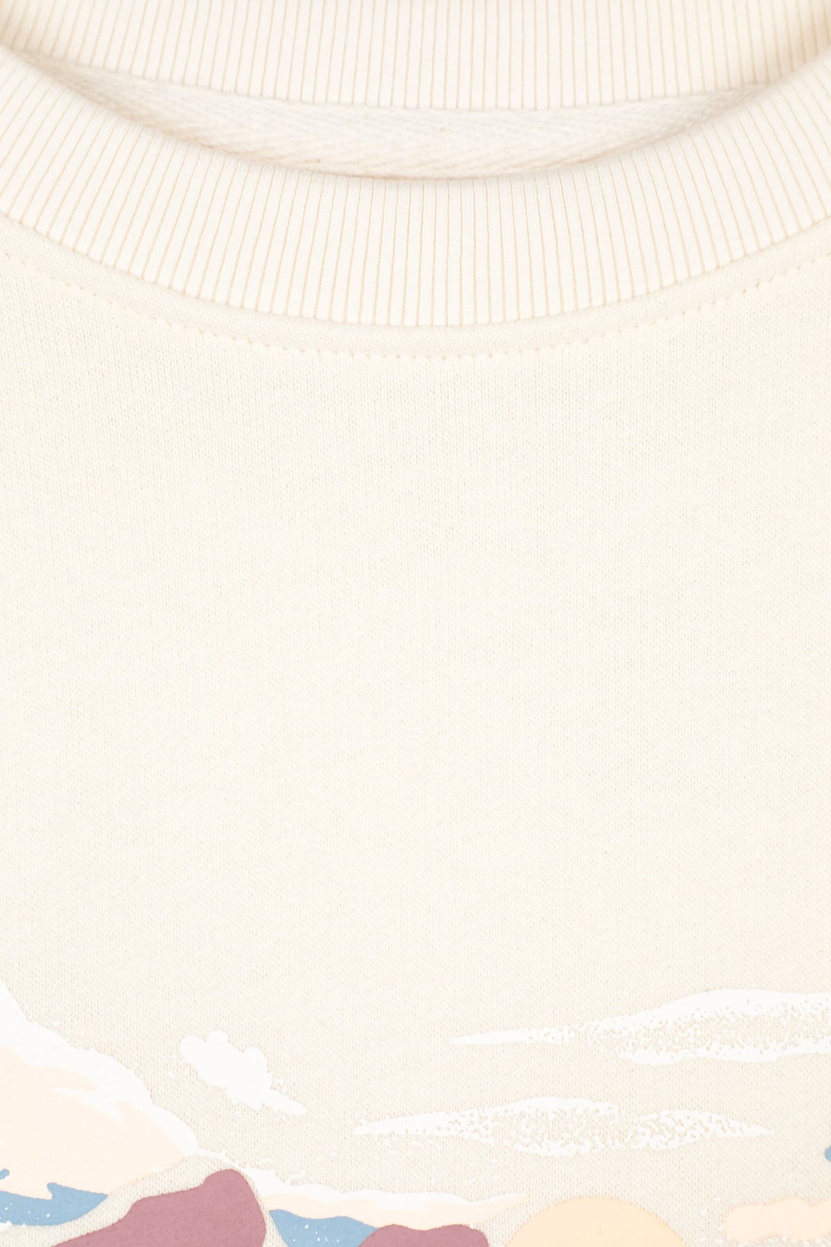 Printed Womens Relaxed Fit Sweatshirt