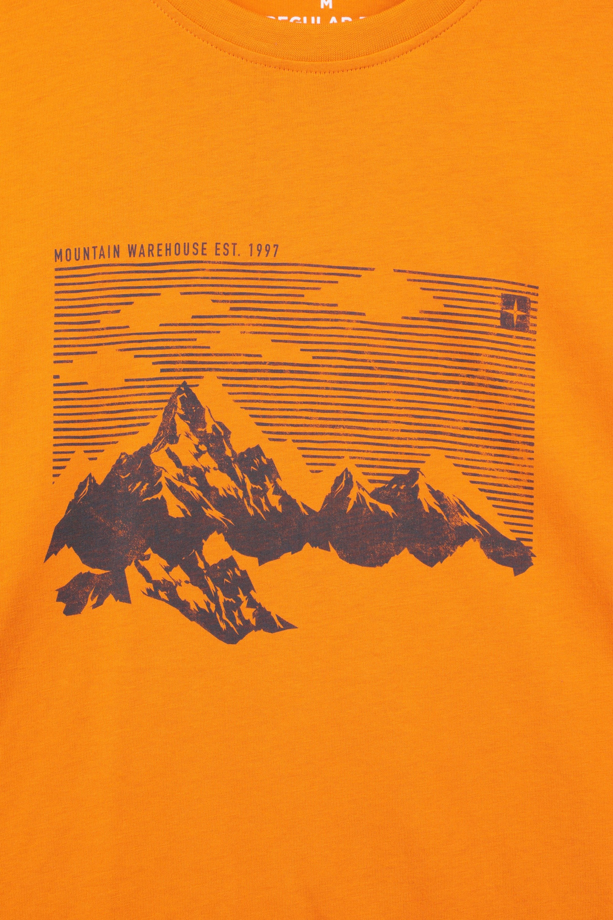 Adventure Awaits Graphic Short Sleeve T-Shirt