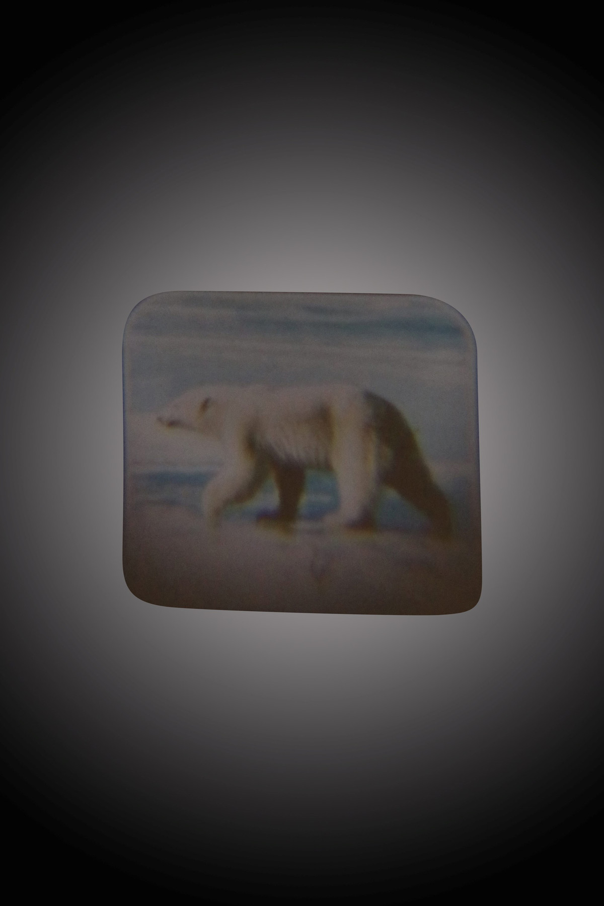 Projector Torch - Safari