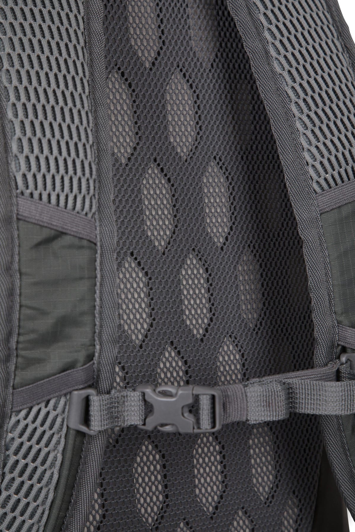 EMS Sector 20L Backpack