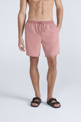 Deep Dive Mens Boardshorts - Rust