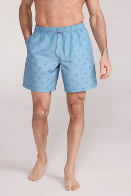 Aruba Printed Mens Swim Shorts - Pale Green