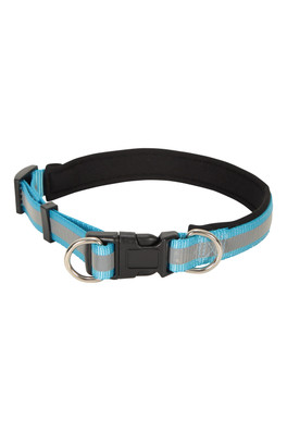 Reflective Dog Collar - Blue