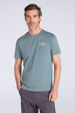 Reach the Summit Mens Graphic T-Shirt - Green