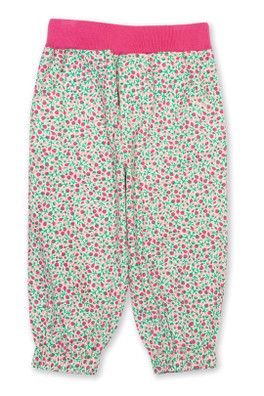 Baby/Kids 100% Organic Cotton Pull Ups - Little Bud