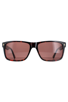 DCS026 Sunglasses - Havana / Brown