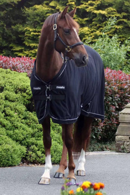 Ventomasta Standard Neck Fleece/Cooler Horse Rug - Black