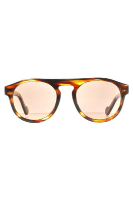 ML0073 Sunglasses - Dark Brown / Brown