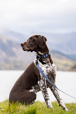 Stink-Proofed Lead - Blue