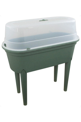 Mini Propagator Greenhouse Outdoor Herb Garden - Green / Clear