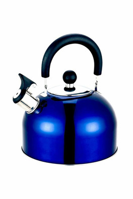 2 Litre Stainless Steel Whistling Kettle - Blue