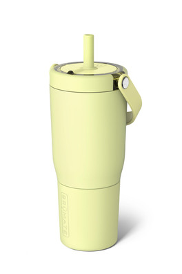 Resa 25oz Straw Tumbler - Prickly Pear