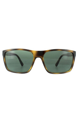 PH4133 Sunglasses - Havana / Green
