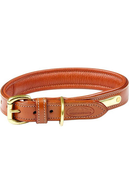 Padded Leather Dog Collar - Tan