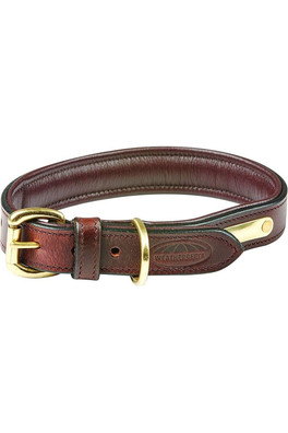 Padded Leather Dog Collar - Brown