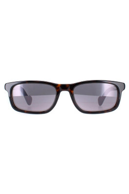 ML0116 Sunglasses - Dark Havana / Grey