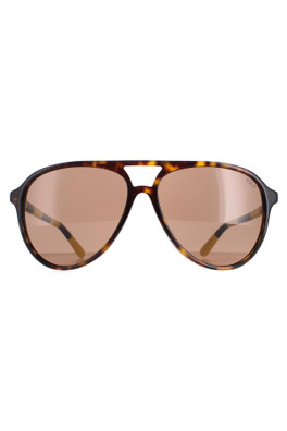 PH4173 Sunglasses - Shiny Dark Havana / Brown
