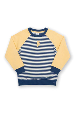 Kids 100% Organic Cotton Sweatshirt - Flash