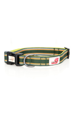 Comfort Padded & Reflective Dog Collar - Green